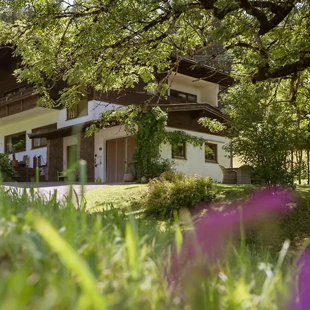 Esche 2 By Interhome * Ellmau