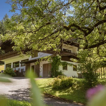 Esche 2 By Interhome