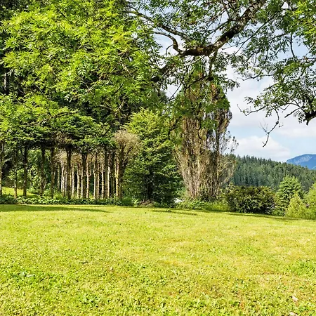 Esche 2 By Interhome 아파트 엘마우