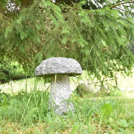 Esche 2 By Interhome