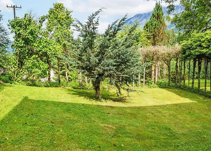 Esche 2 By Interhome Ellmau